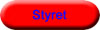 Styret 2003 - 2004